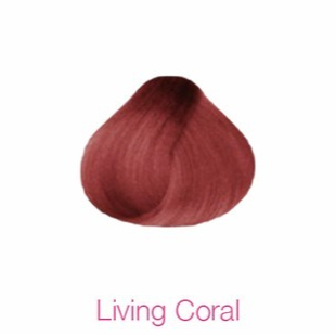 Tinte Xiomara 300 Fashion Coral